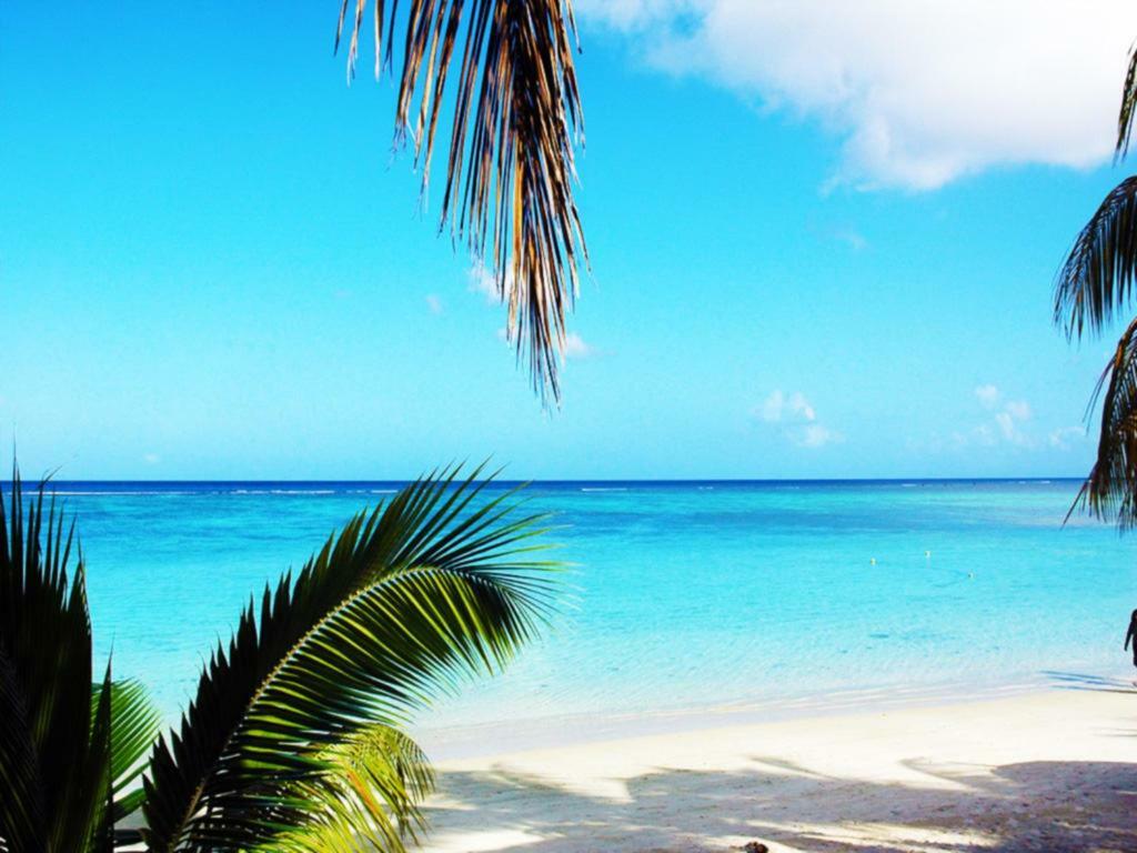 Cove 4 * Pereybere Beach